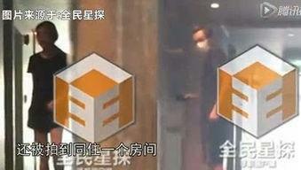 最新黑花所有爆料在哪看